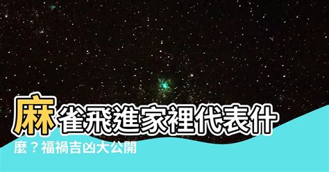 麻雀進屋|【麻雀飛進家裡代表什麼】飛雀臨門，吉兆還是兇兆？麻雀飛進家。